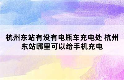 杭州东站有没有电瓶车充电处 杭州东站哪里可以给手机充电